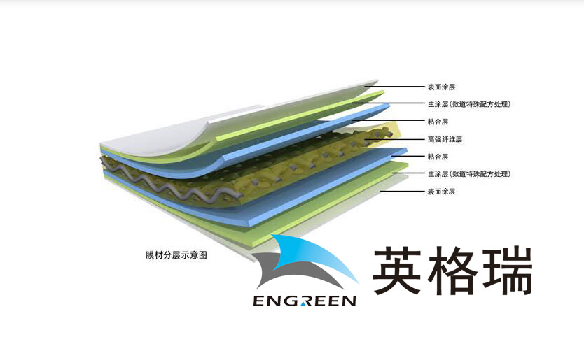 黄瓜视频下载在线观看黄瓜视频破解版免费下载膜材.jpg